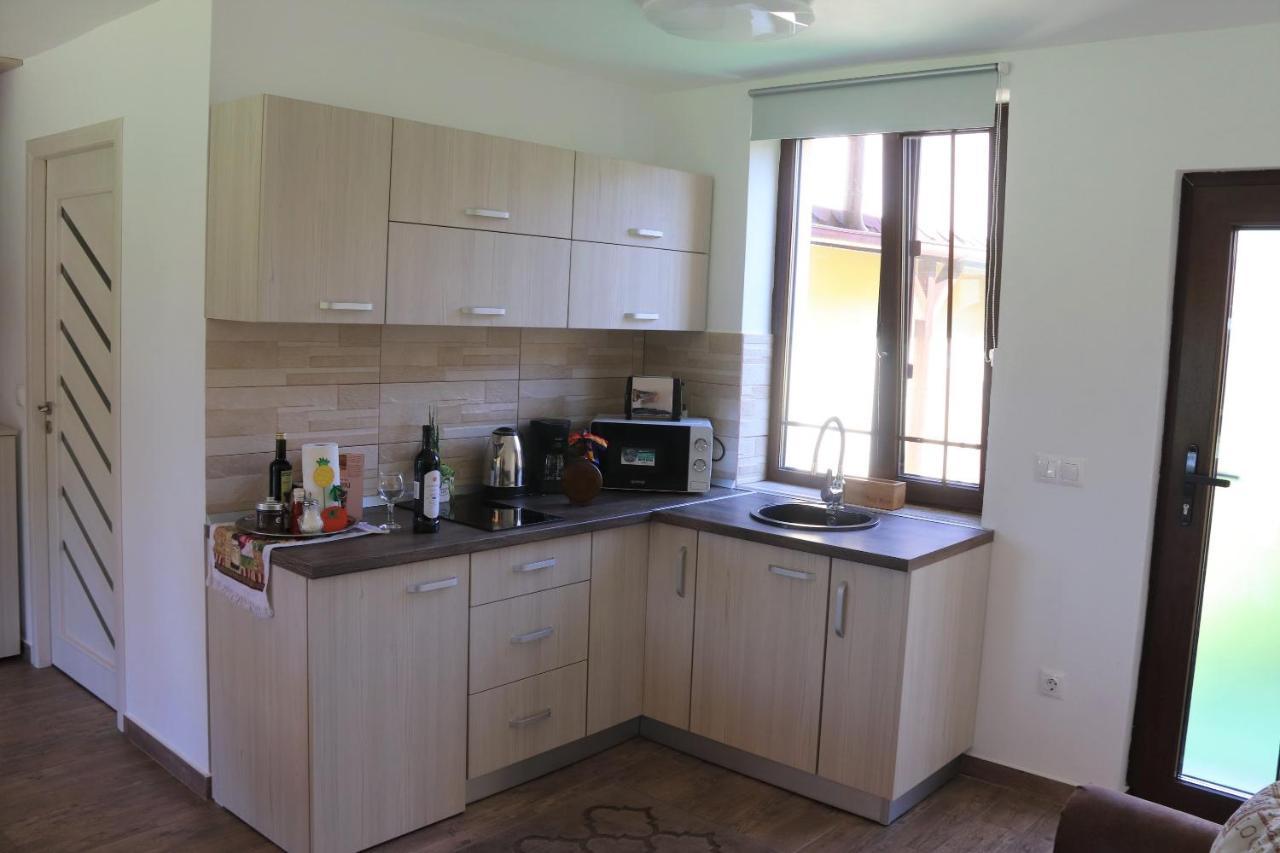 Casa De Vacanta Ayan Hărman Extérieur photo