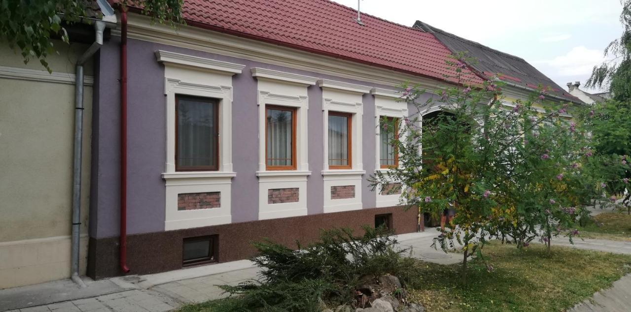Casa De Vacanta Ayan Hărman Extérieur photo