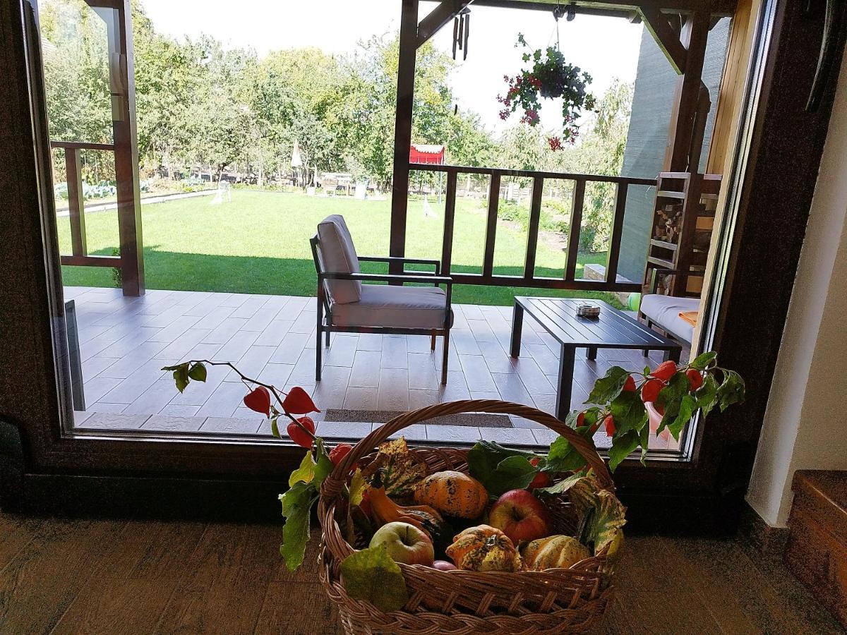 Casa De Vacanta Ayan Hărman Extérieur photo